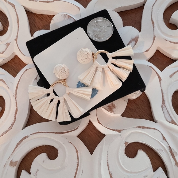 Bohemian Raffia Tassel Earrings - Picture 1 of 1